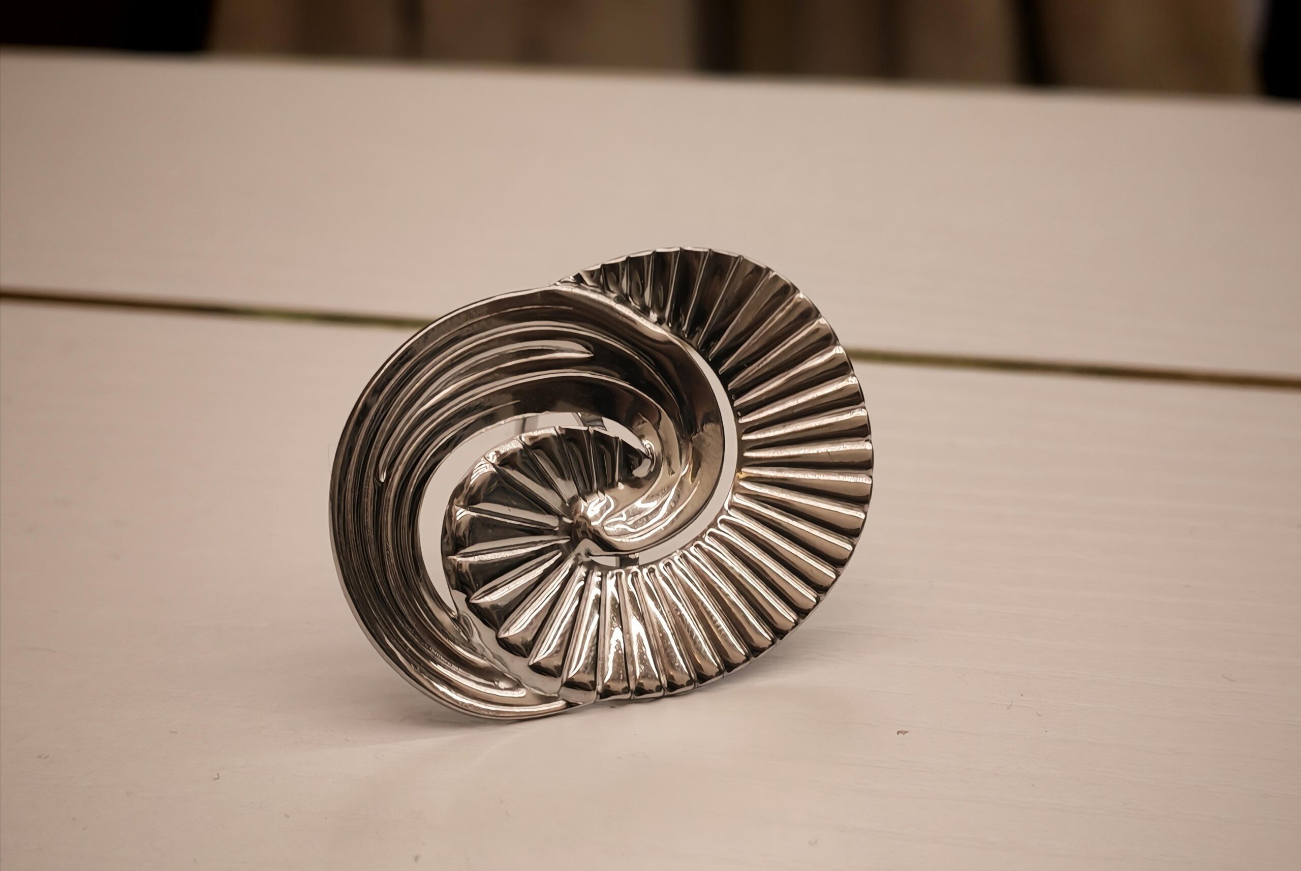 IMG_20251010_111615_edit_127988336034248